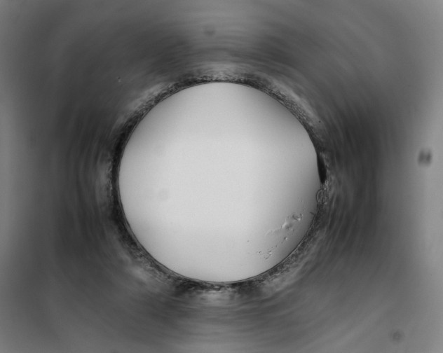 X0000101220306200807251117