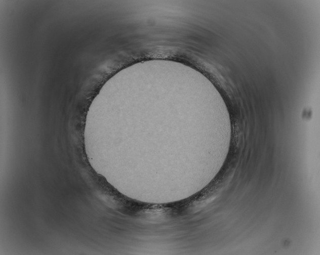 X0000101220307200807251117