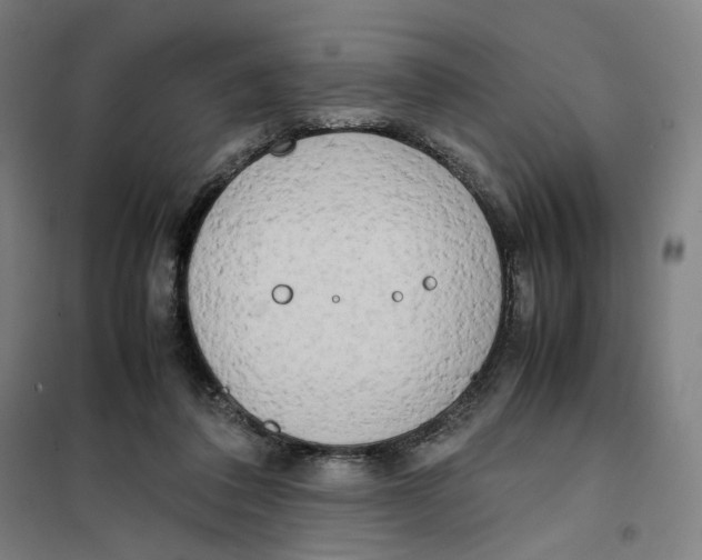 X0000101220308200807251117