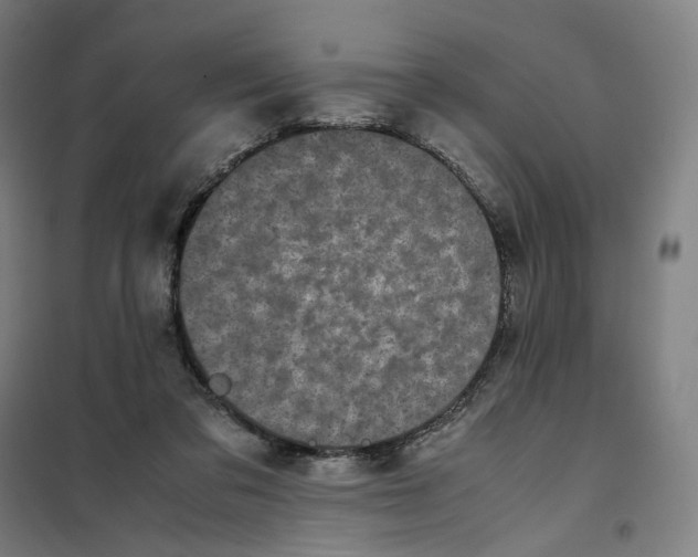 X0000101220309200807251117