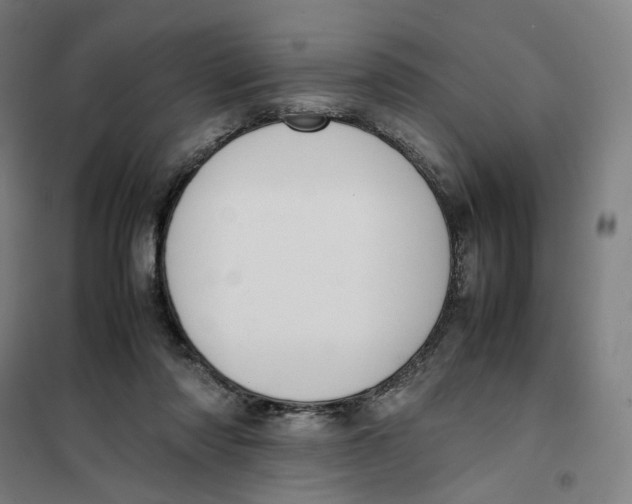 X0000101220310200807251117