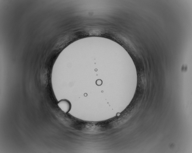 X0000101220311200807251117
