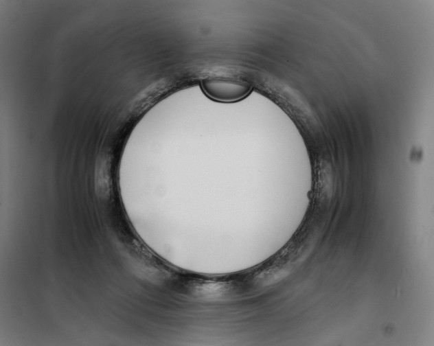 X0000101220312200807251117