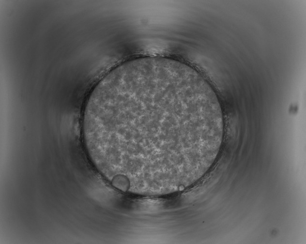 X0000101220313200807251117