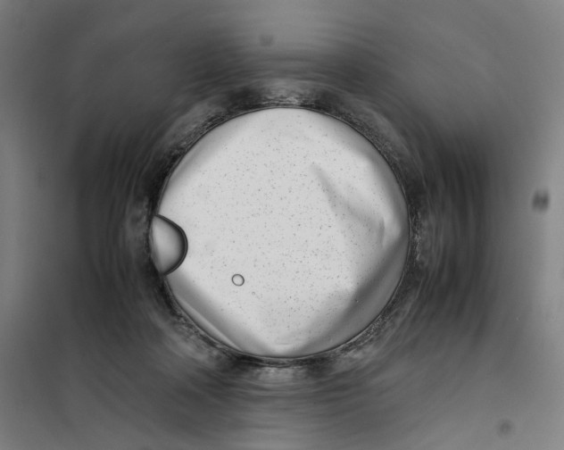 X0000101220314200807251117