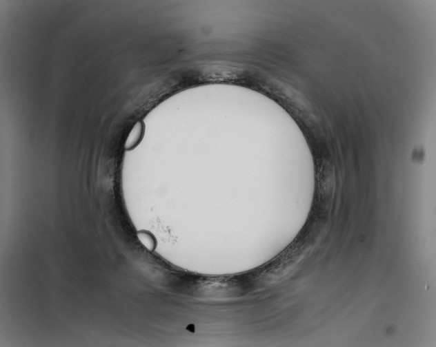 X0000101220315200807251117