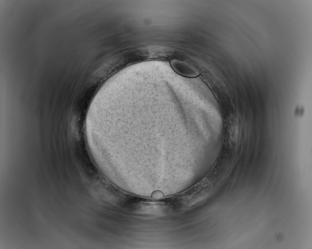 X0000101220316200807251117