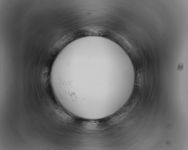 X0000101220318200807251117