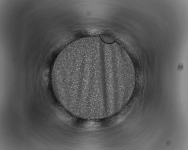 X0000101220319200807251117