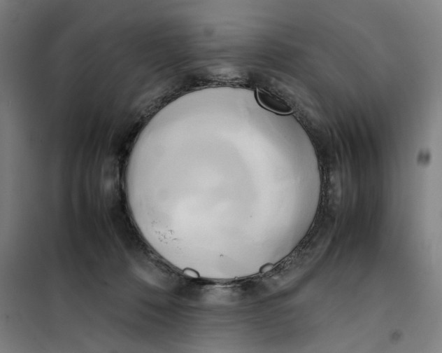 X0000101220320200807251117