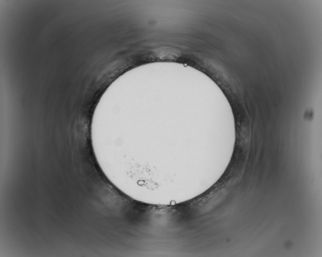 X0000101220321200807251117
