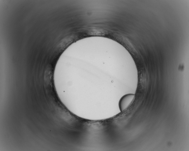 X0000101220322200807251117
