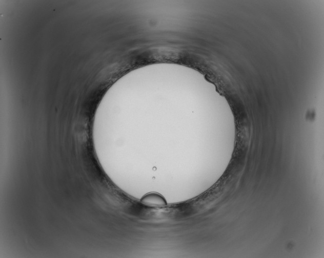 X0000101220323200807251117