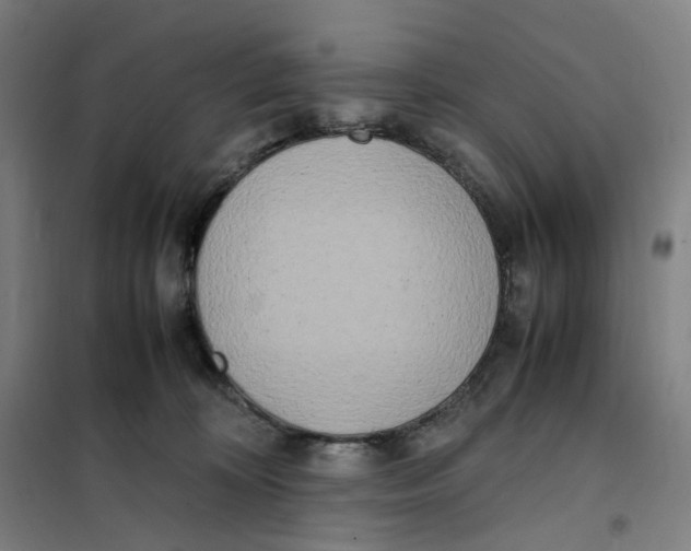 X0000101220324200807251117