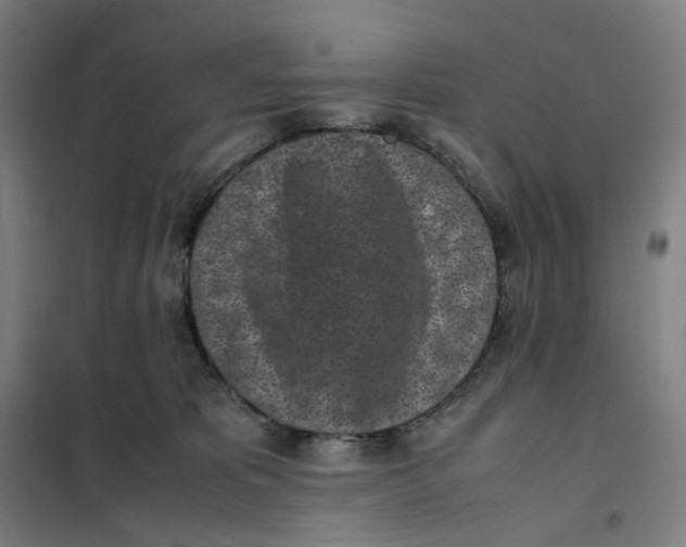 X0000101220325200807251117