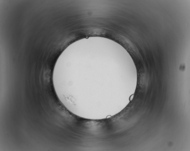 X0000101220326200807251117