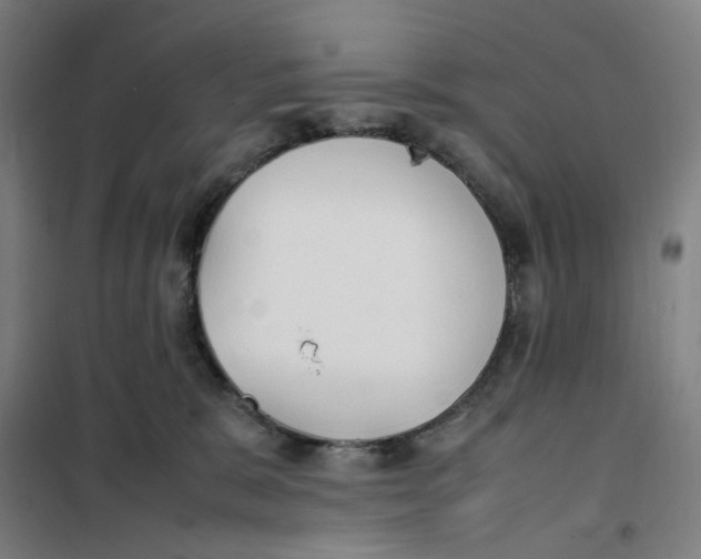 X0000101220327200807251117