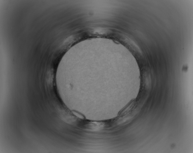 X0000101220328200807251117
