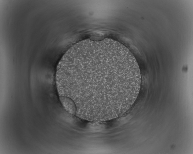 X0000101220331200807251117