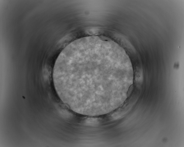 X0000101220332200807251117