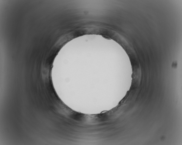 X0000101220333200807251117