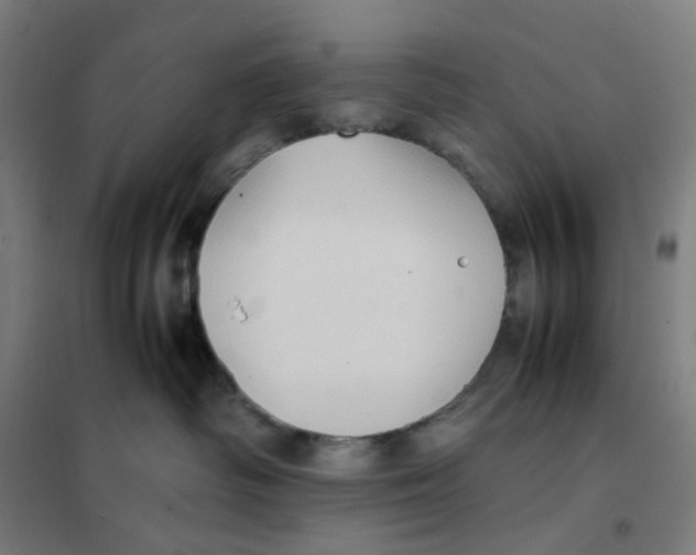 X0000101220334200807251117