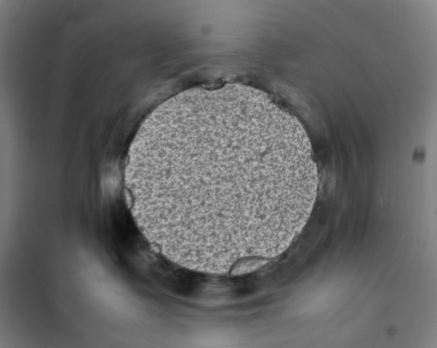 X0000101220335200807251117