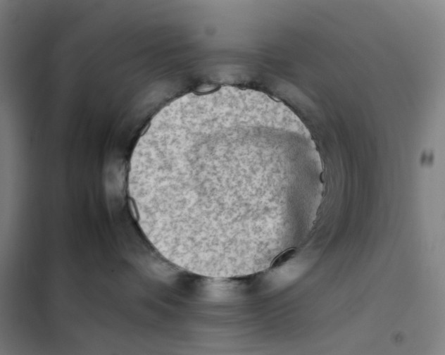 X0000101220336200807251117