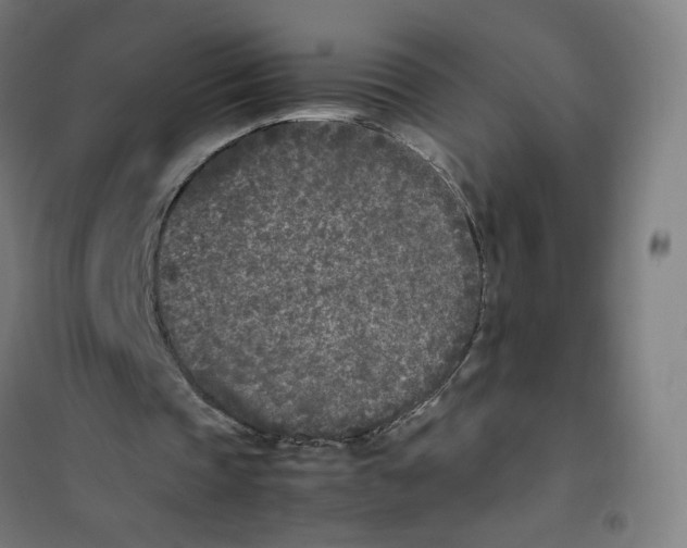 X0000101220337200807251116