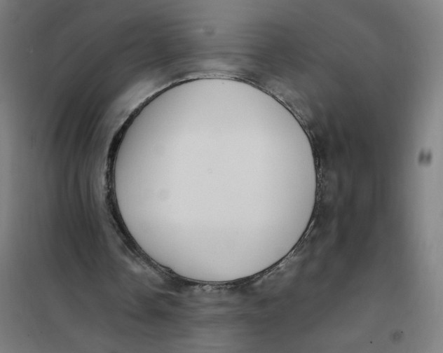X0000101220338200807251116