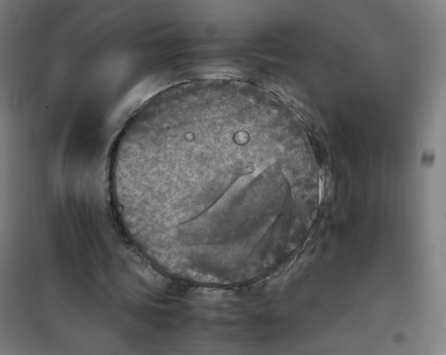 X0000101220339200807251116