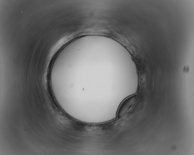 X0000101220340200807251116
