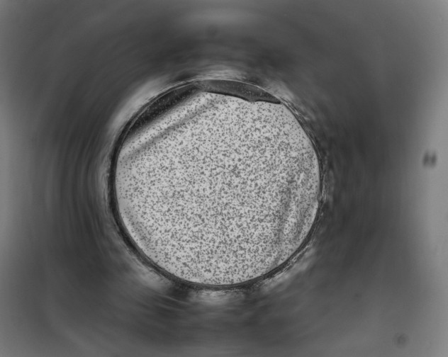 X0000101220341200807251116