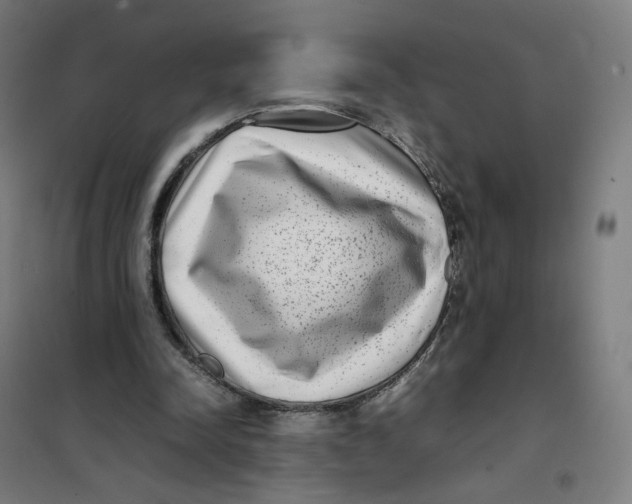 X0000101220342200807251116