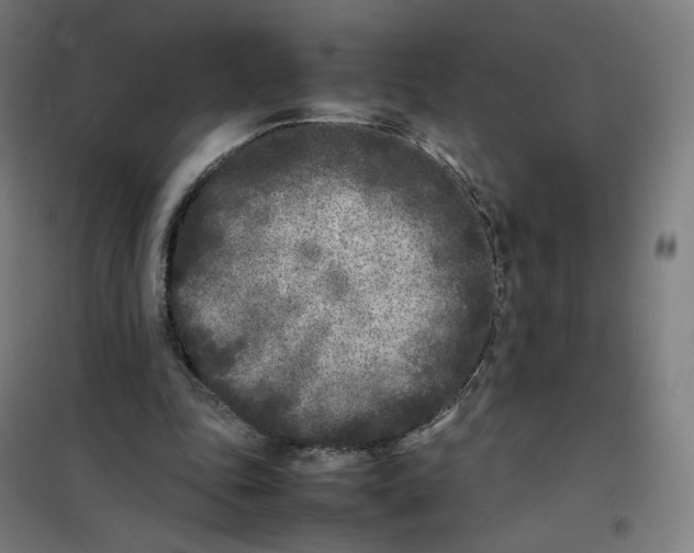 X0000101220343200807251116