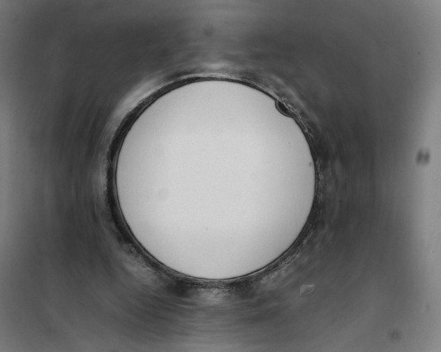 X0000101220344200807251116