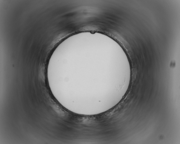 X0000101220345200807251116