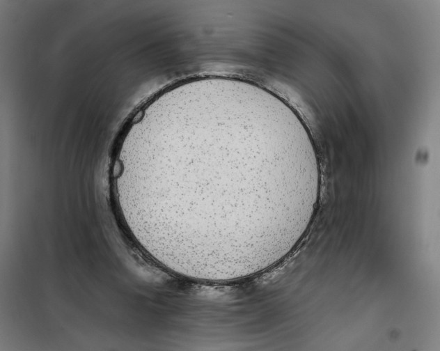 X0000101220346200807251116