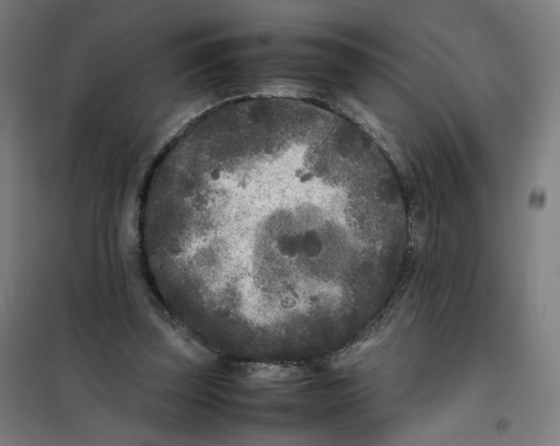 X0000101220347200807251116