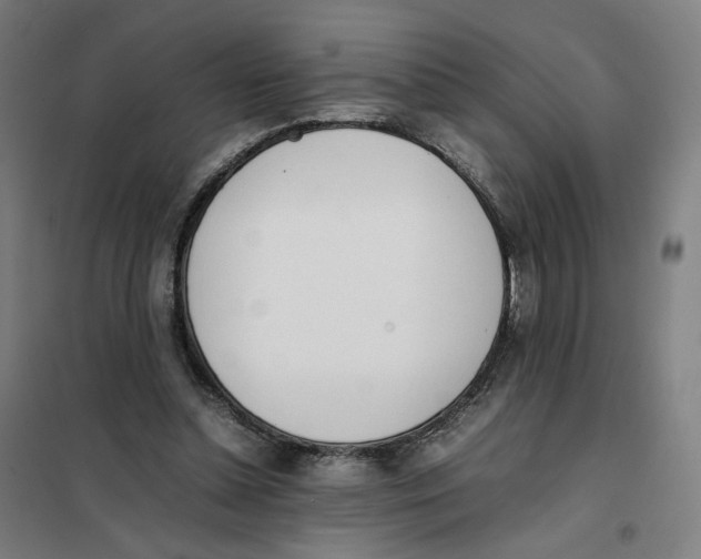 X0000101220348200807251116