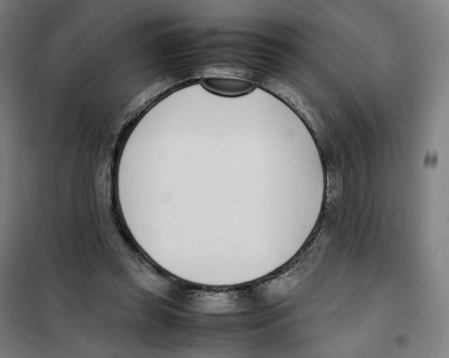 X0000101220349200807251116