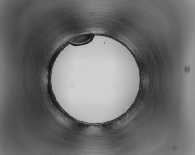 X0000101220350200807251116