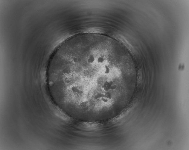 X0000101220351200807251116
