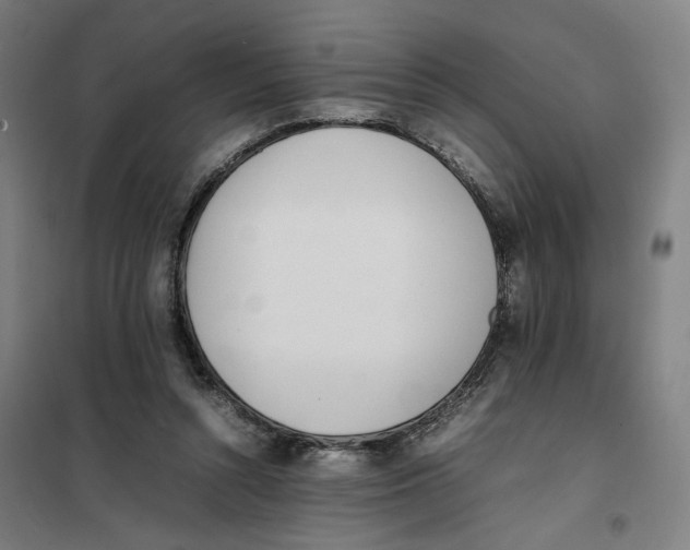 X0000101220352200807251116