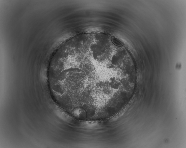 X0000101220353200807251116