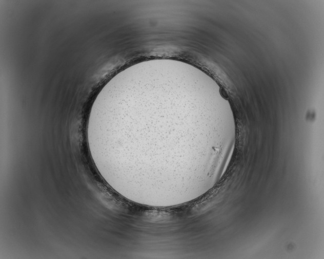 X0000101220354200807251116