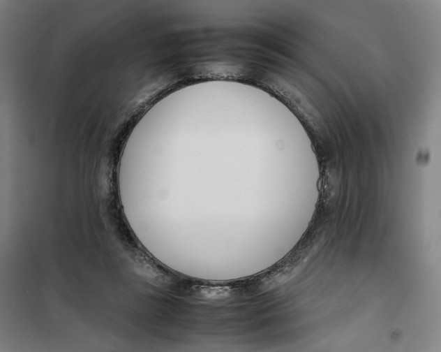 X0000101220355200807251117