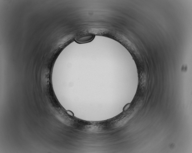 X0000101220356200807251117