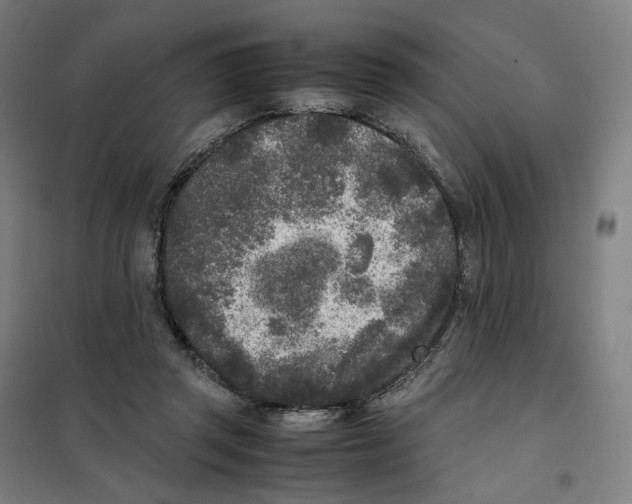 X0000101220357200807251117