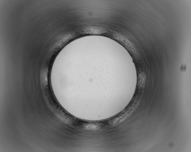 X0000101220358200807251117
